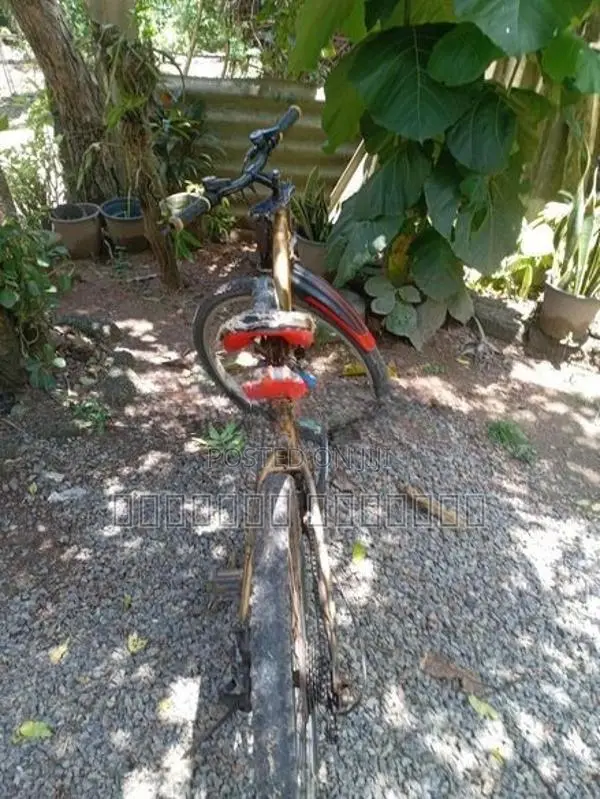 Cannondale රුපියල 30000කට මෙම පාපැදිය