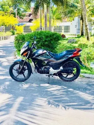 Hero CBZ 2006
