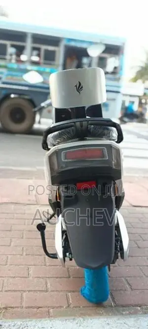 Auchev Pisces 2026