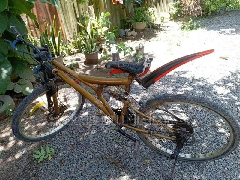Bianchi පාපැදියකි