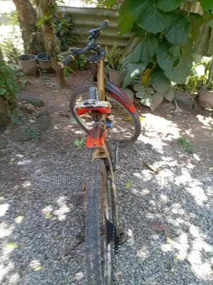 Bianchi පාපැදියකි