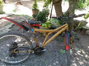 Bianchi පාපැදියකි