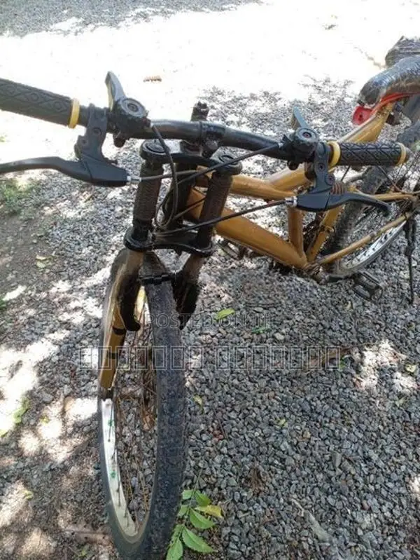 Bianchi පාපැදියකි