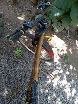 Bianchi පාපැදියකි