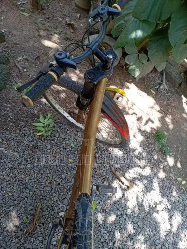 Bianchi පාපැදියකි