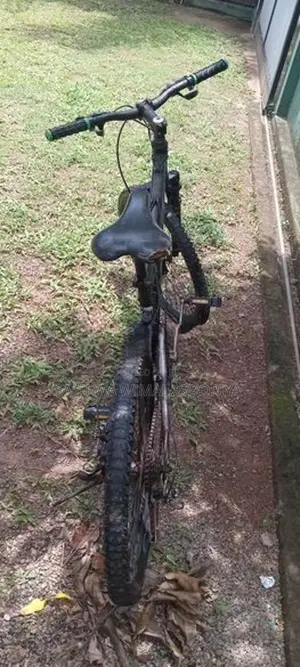 Lumala Next Bicycle