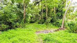 Waterfront Land in Bolgoda
