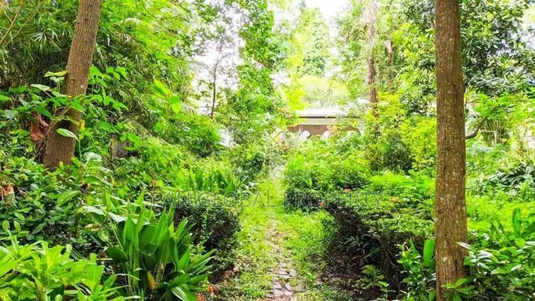 Waterfront Land in Bolgoda