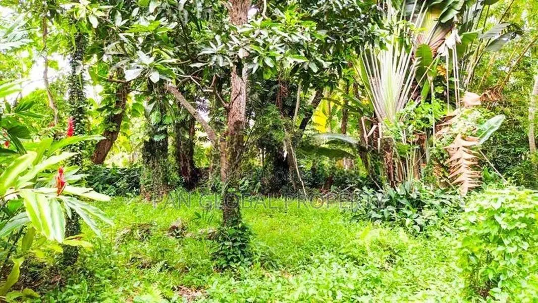 Waterfront Land in Bolgoda