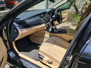 BMW 520d 2013
