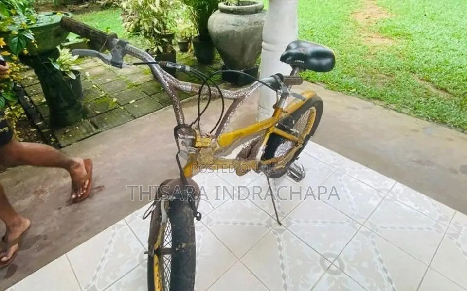 BMX Bicycle