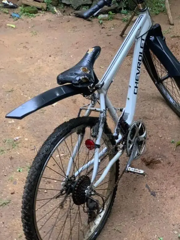 Bicycle