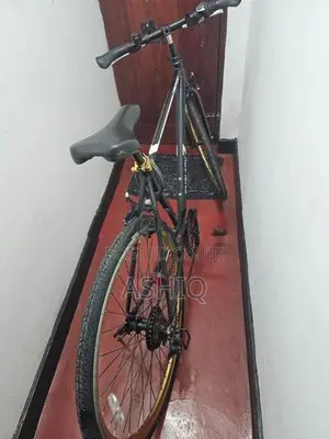 Fair Lady Bicycle