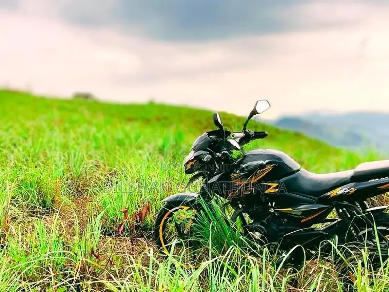 Bajaj Pulsar 135 2011