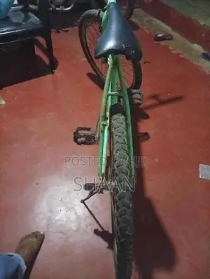 Lumala Bicycle