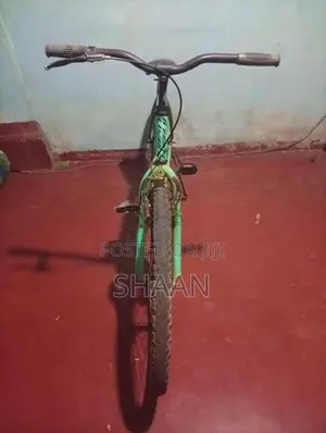 Lumala Bicycle