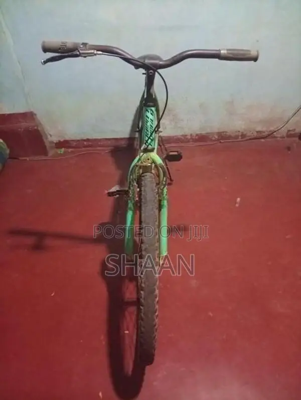 Lumala Bicycle