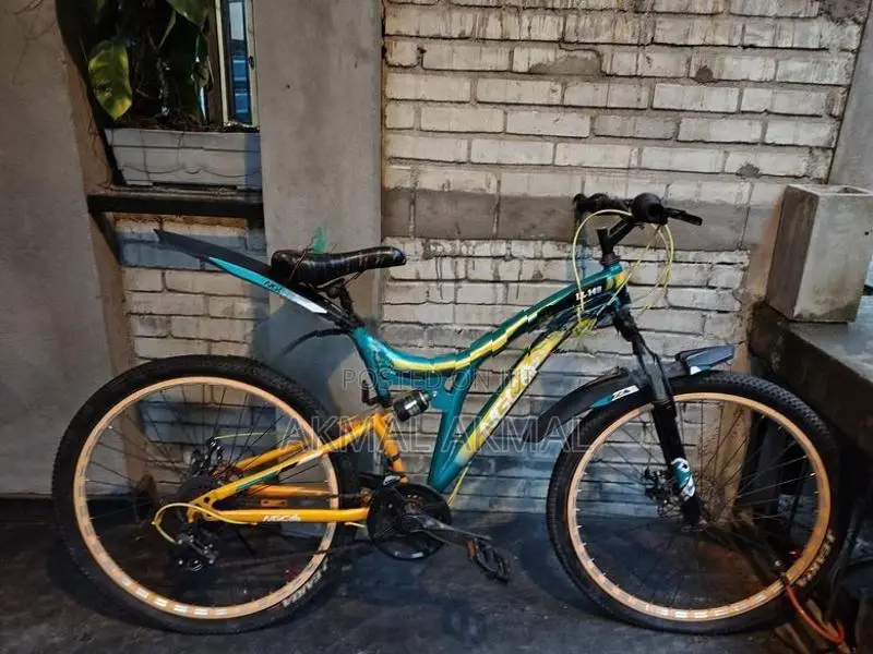 Mountain Bicycle