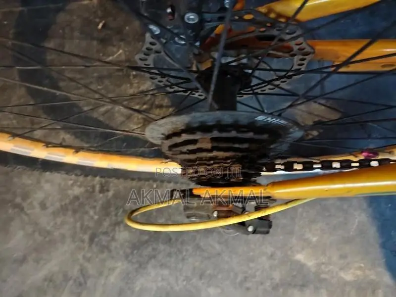 Mountain Bicycle