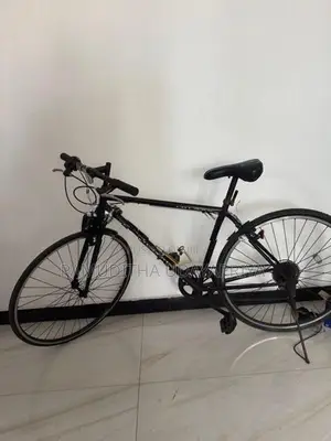 Shimano Hybrid Bicycle