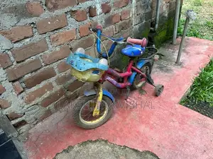 Kids Bicycle