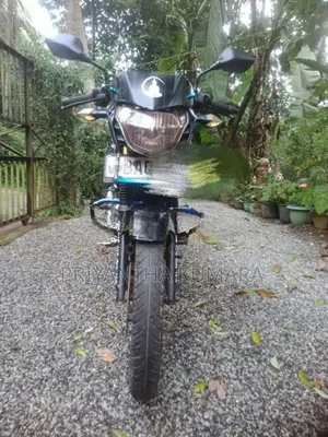 Bajaj Pulsar 135 2013