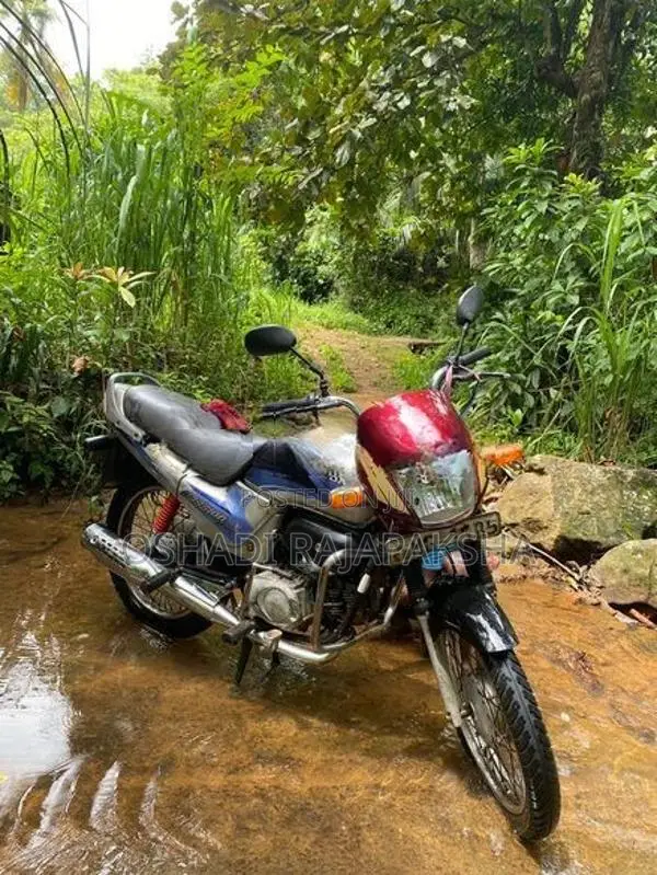 Hero Passion Plus 2005