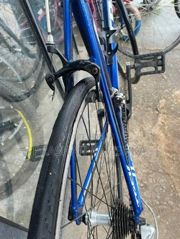 Trek Racing Bicycle