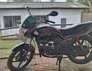 Hero Passion pro 2014