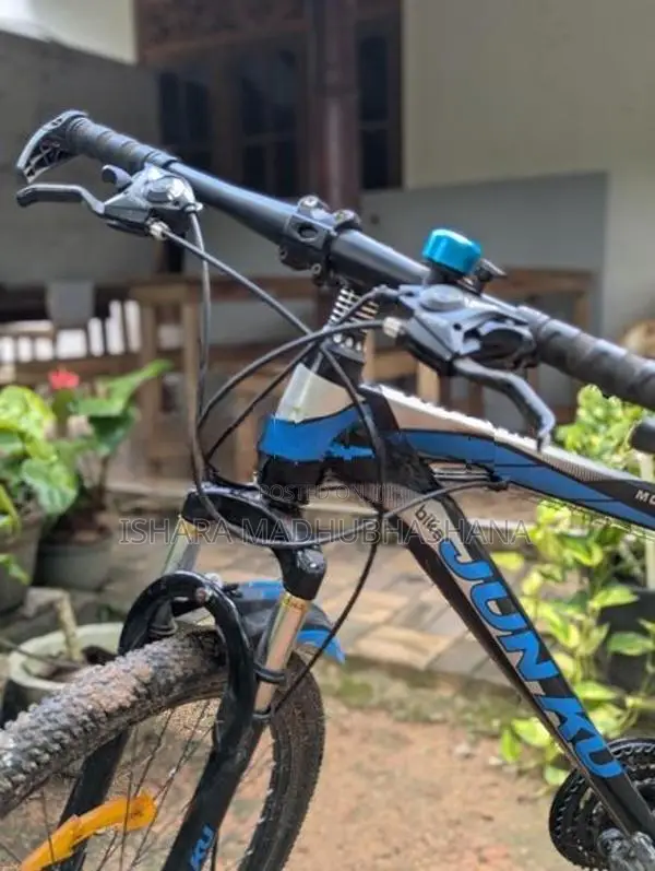 Mountain Bicycle