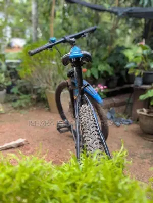 Mountain Bicycle
