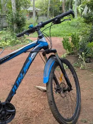 Mountain Bicycle