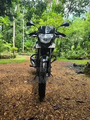Bajaj Pulsar 135 LS 2010
