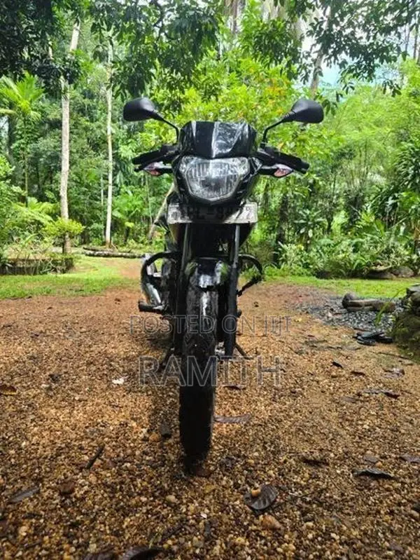 Bajaj Pulsar 135 LS 2010