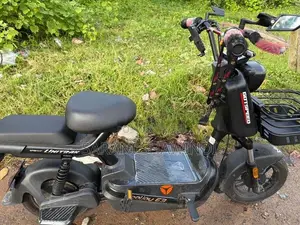 Yadea E Bike 2026