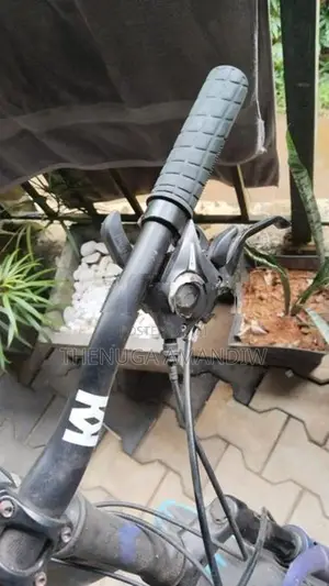 Lumala Bicycle