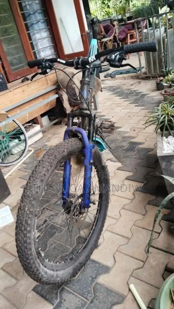 Lumala Bicycle