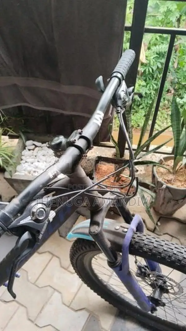 Lumala Bicycle