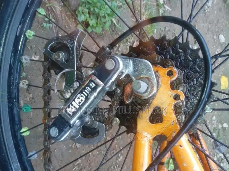 Pinnacle New Bicycle
