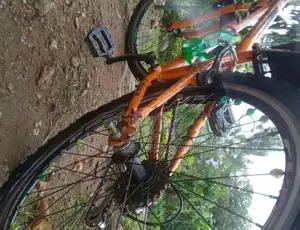 Pinnacle New Bicycle