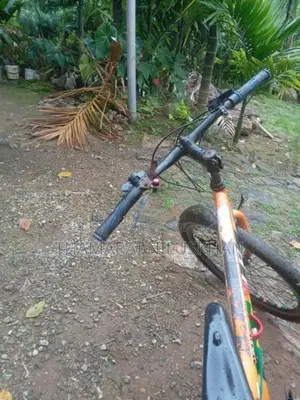 Pinnacle New Bicycle