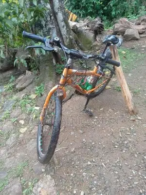 Pinnacle New Bicycle