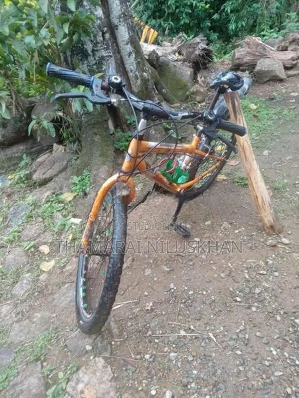 Pinnacle New Bicycle