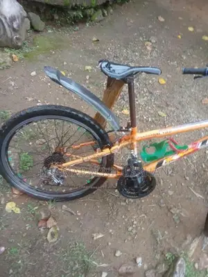 Pinnacle New Bicycle