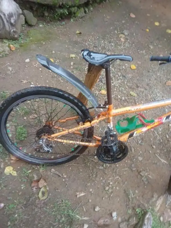 Pinnacle New Bicycle