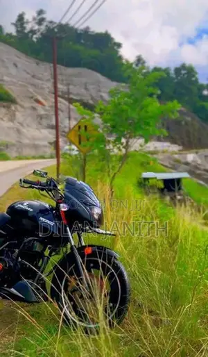 Bajaj Pulsar 150 2011