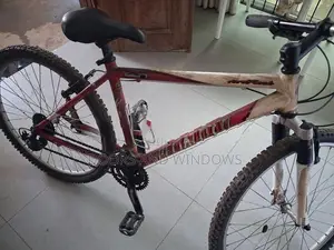 Specialized Bicycle