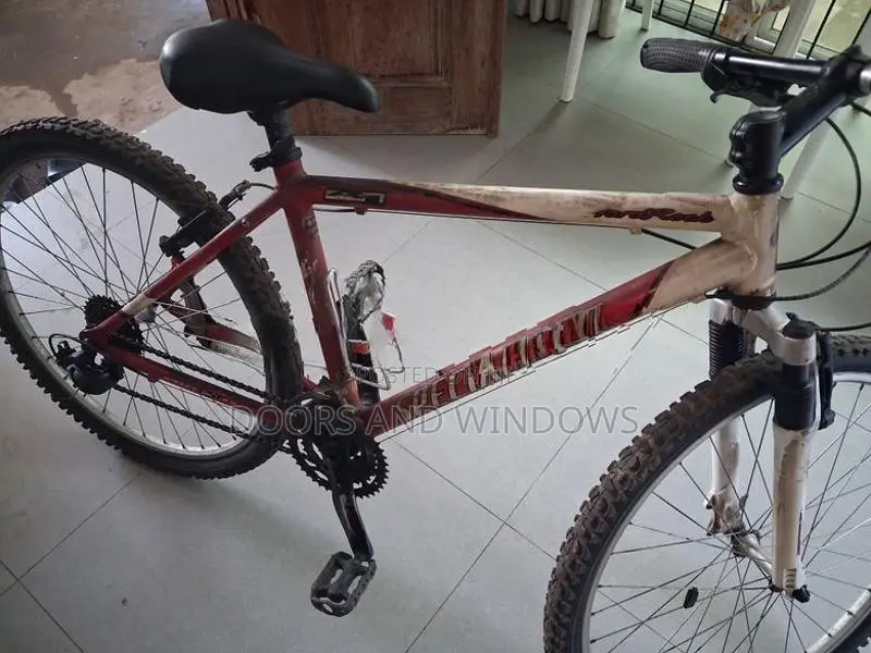 Specialized Bicycle