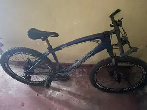 Lumstar Jaguar Bicycle