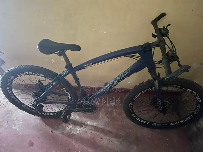 Lumstar Jaguar Bicycle